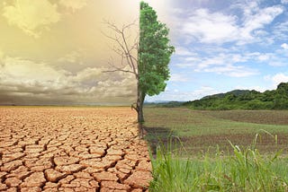 Bridging faith and sustainability: Shariah compliant investors in climate finance