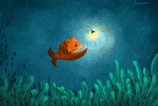 Lantern Fish