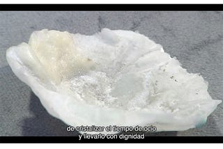 (21/52) Las vacas no tienen reversa