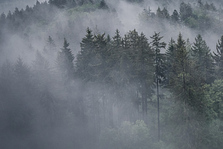 The Wisdom Mirror of Nature: December