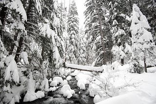 Walking In Snow