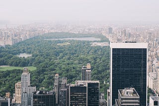 Environment and its influence