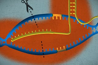 CRISPR Cas-9; The molecular ✂️ of the body