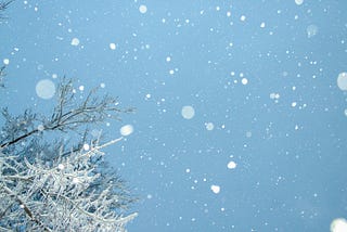 Photograph showing an upward view towards the sky with snow falling and the branches of a tree, dusted in snow.
