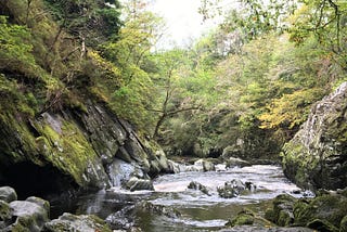 I am really boring about wild swimming (and I think you may be too)