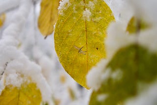 Cold Weather Moving In