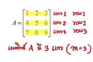 Notation Matrix สัญกรณ์ของเมทริกซ์