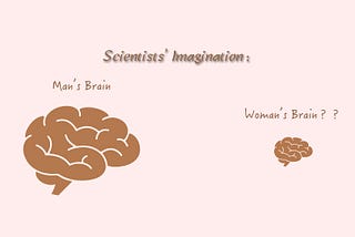 Women and Men have Different Brains … Right?
