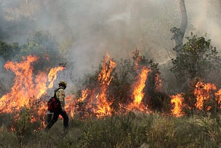 Former Journalist Joins Prometeo in Barcelona’s Burning Forest