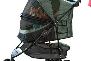 Small Dog Stroller 2020 — Pick For Your Loving Pets