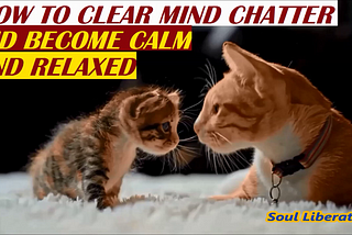 How To Clear Mind Chatter