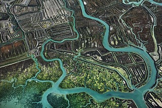 A currency for the Anthropocene: de-ponzi-fying the future