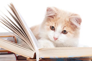 U.S. Library Allows People To Pay Late Fees With Photos Of Cats
