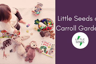 Little Seeds of Carroll Gardens | About Us