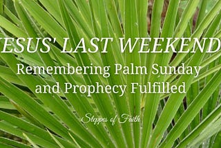 Jesus’ Last Weekend: Remembering Palm Sunday and Prophecy Fulfilled