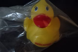 The $8000 Rubber Duckie