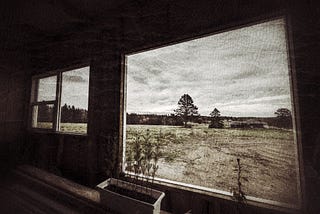 Morning Thoughts From Inside A Cold Shed