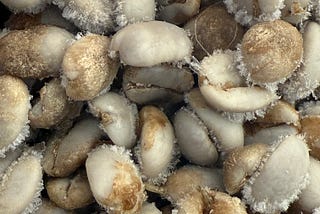 Water Soak then Freeze Coffee before Roasting