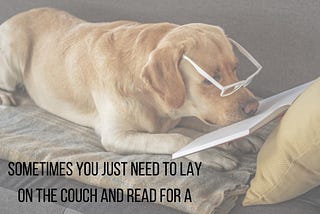 Sometimes you just need to lay on the couch and read for a couple of years.