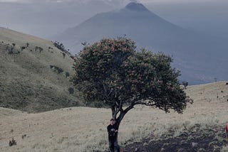 Sebuah Journaling #1: Merbabu Membawaku Kembali