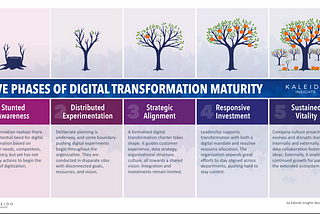 Phases of Digital Transformation Maturity: from Stunted Awareness to Sustained Vitality