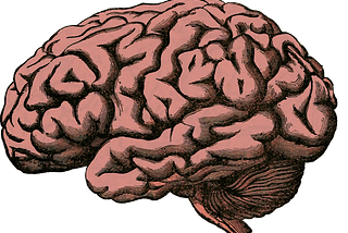 Layman Explanation of Artificial Neural Networks