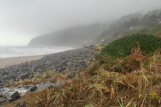 Neahkahnie Beach, Nehalem, OR