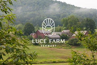 A Review of Luce Farm Wellness: Sustainably-Grown Hemp and Quality Herbal Products
