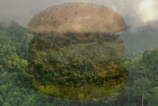 How to Save the Planet with Food