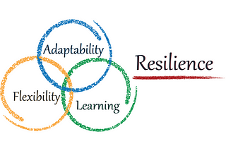 Manage risk by managing for resilience