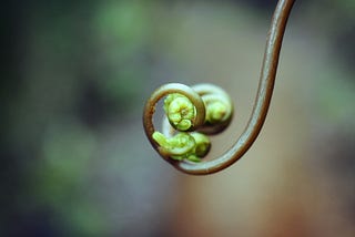 The paradoxical theory of change