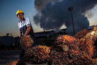 Urgent Action Needed to Prevent Escalating Conflict by Astra Agro Lestari in Sulawesi, Indonesia