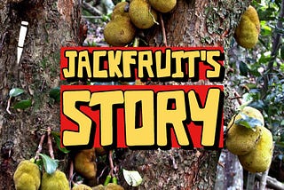 The Story of Jackfruit