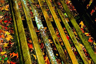 Dewfall On Forgotten Places