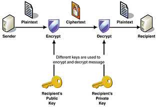 Public key Algorithms in Cryptography