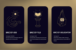 BRC-137 Protocol: Interweaving Protocol Layer with Worldview