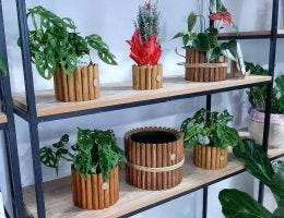 Wood Work, l’artisanat de pots pour vos plantes