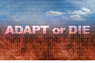 Adapt or Die — Blitz deploy your products or services or face an existential risk