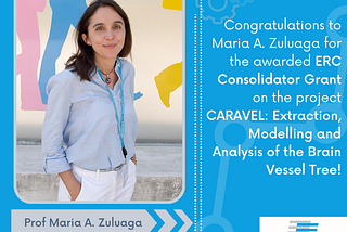 €2 Million ERC grant awarded for studying the brain vessel tree at EURECOM