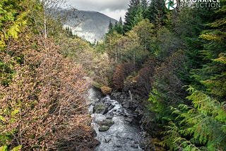 Touring Around The Alice Loop: