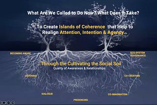Otto Scharmer: Cultivating the Social Field, and Promoting Collective Agency to Face the Polycrisis