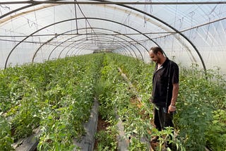 Beirut Greenhouse Farmers Struggling