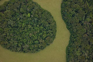 The Sud Estuaire concession: our pilot sustainable landscape