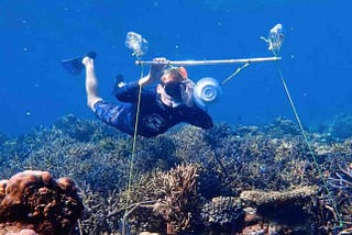 Fishing With Sound? Scientists Use Strange New Method for Repairing Damaged Reefs.