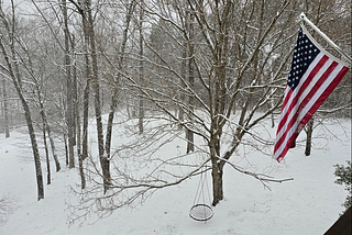 Snow Days in Knoxville