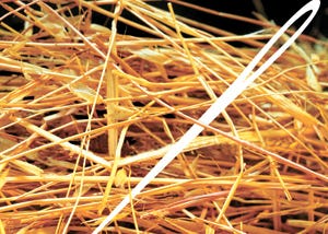 A needle in a haystack