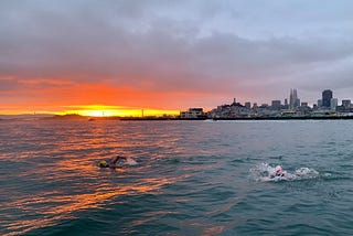 Angel Island, the Lord of the Flies, and Trump…