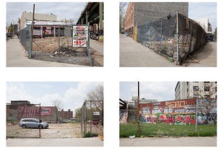 Open Earth and Feral Land: A Typology of Bushwick’s Dwindling “Vacant” Spaces