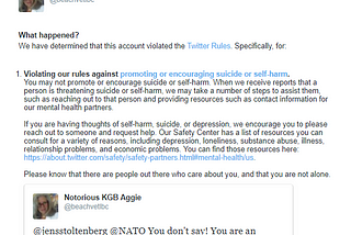 I tweeted NATO to jump of a cliff.