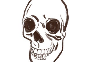 A black line drawing on a white background of a human skull